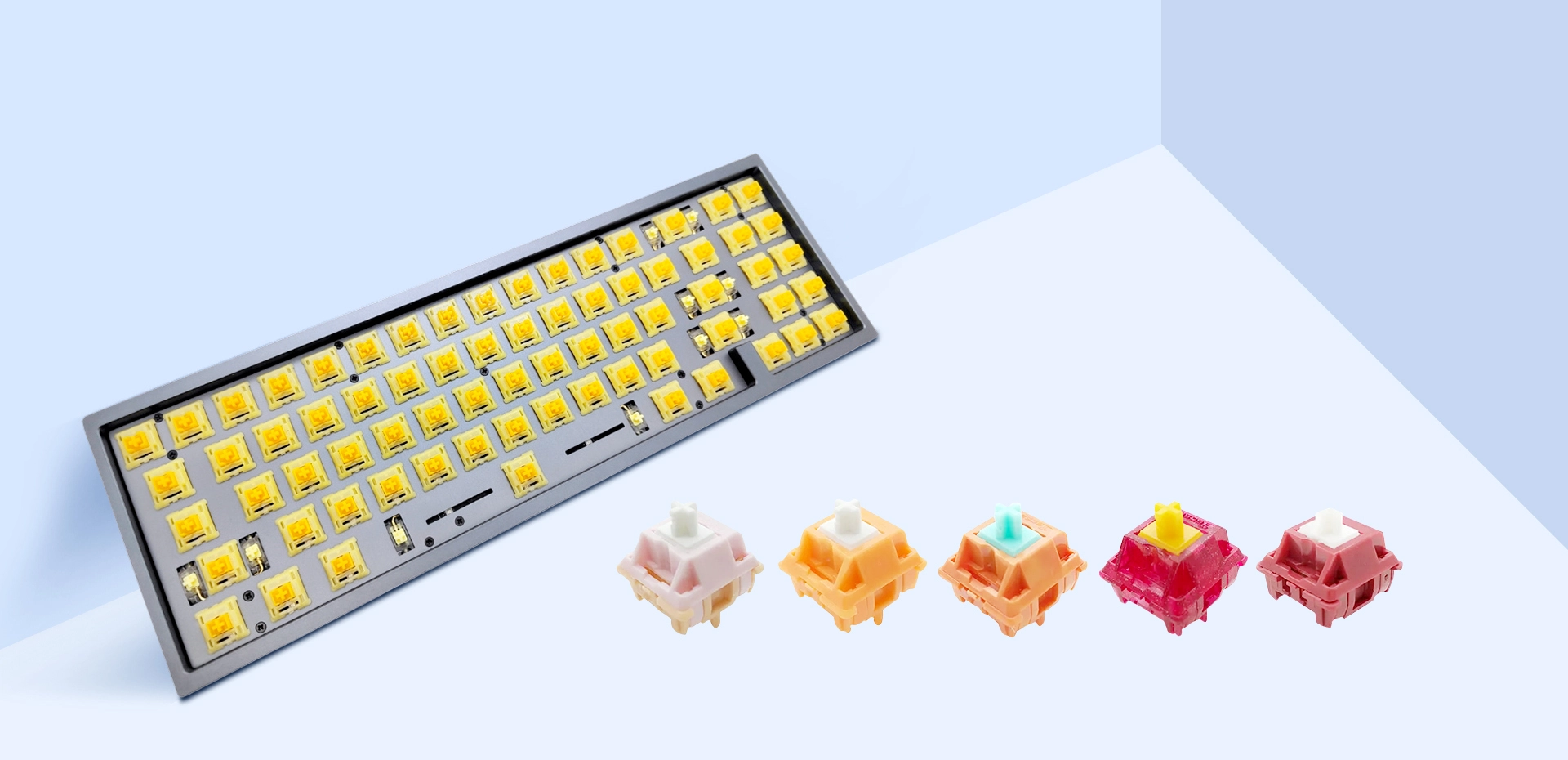 Tecsee,Mechanical Keyboard Switch,Keyboard Manufacturer